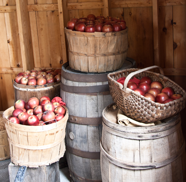 Getting ready to make apple cider