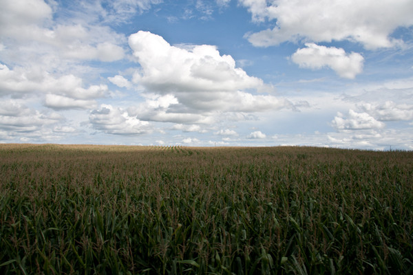 Prairies