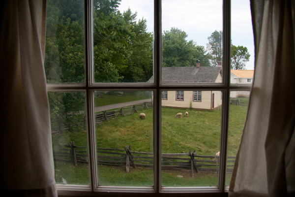 Looking out at the fields